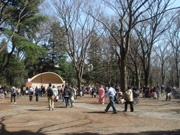 昔たくさんの人がこの辺りで平日から将棋をさしていたところ。 井の頭公園の写真・その1